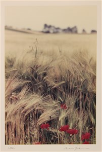 Image description is not available for 2013.086